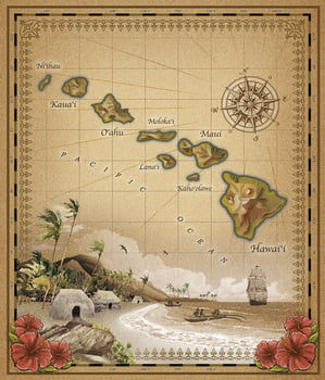 Microfleece Towel Blanket 60"x70" - Vintage Isle Map