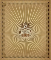 Microfleece Towel Blanket 60"x70" - Vintage Isle Map