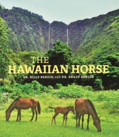 The Hawaiian Horse