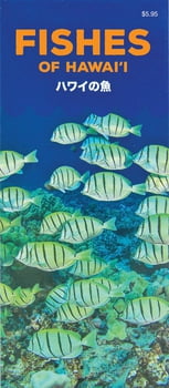Animal & Life Fishes of Hawaii (English and Japanese)