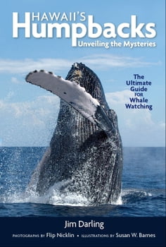 Ocean Life Hawaii's Humpbacks: Unveiling the Mysteries