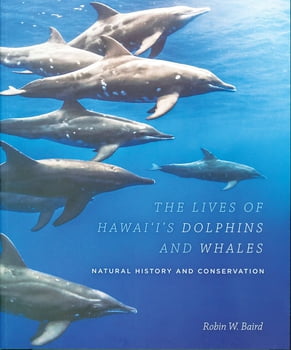 Ocean Life The Lives of Hawaii's Dolphins and Whales