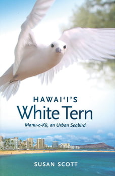 Animal & Life Hawaii’s White Tern