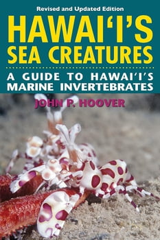 Ocean Life Hawai'i's Sea Creatures