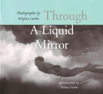 Pictorials Through a Liquid Mirror