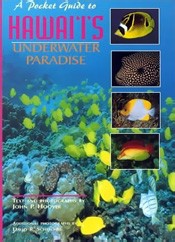 A Pocket guide to Hawai'i's Underwater Paradise