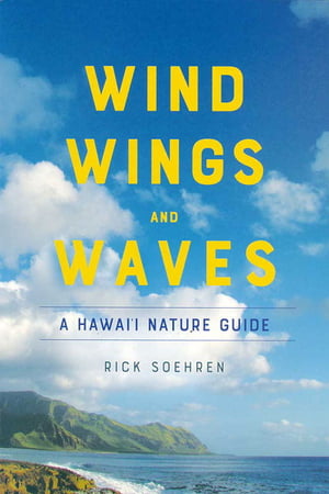 Wind, Wings and Waves