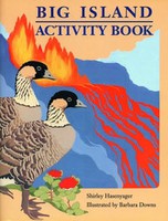 Big Island Activity Book