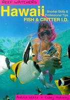 Hawaii Snorkel Skills and Professional Tips