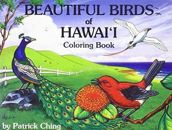 Color & Activity Books Beautiful Birds of Hawaii