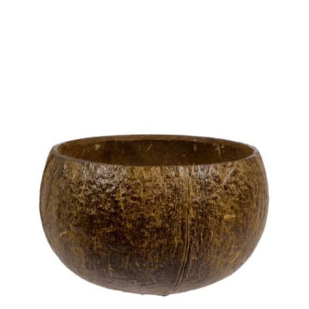 Coconut Bowl