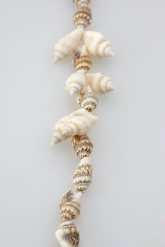 LEI SHELL UMBRELLA 12pc