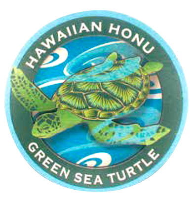 3-D Magnet Medium - Honu