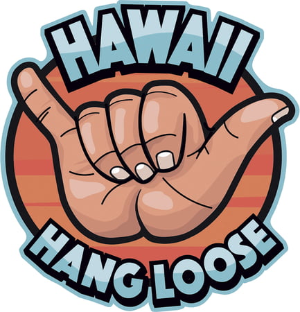 3-D Magnet Medium - Hang Loose