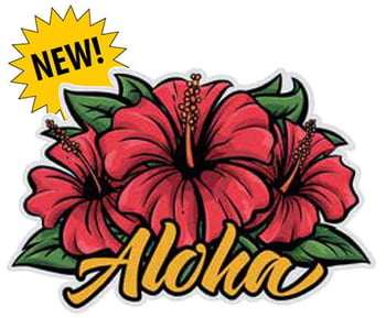 3-D Magnet Medium - Aloha Hibiscus