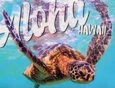 Badge Magnets Generic - Aloha Honu