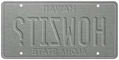 6"x12" Vintage License Plate - HOWZIT?