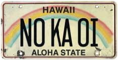 6"x12" Vintage License Plate - NO KA OI