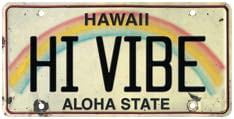 Signs & License Plates 6"x12" Vintage License Plate - HI Vibe