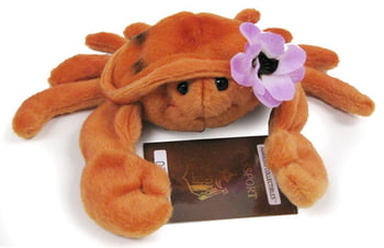 Hawaiian Collectibles - Hihe‘e the Hawaiian Crab