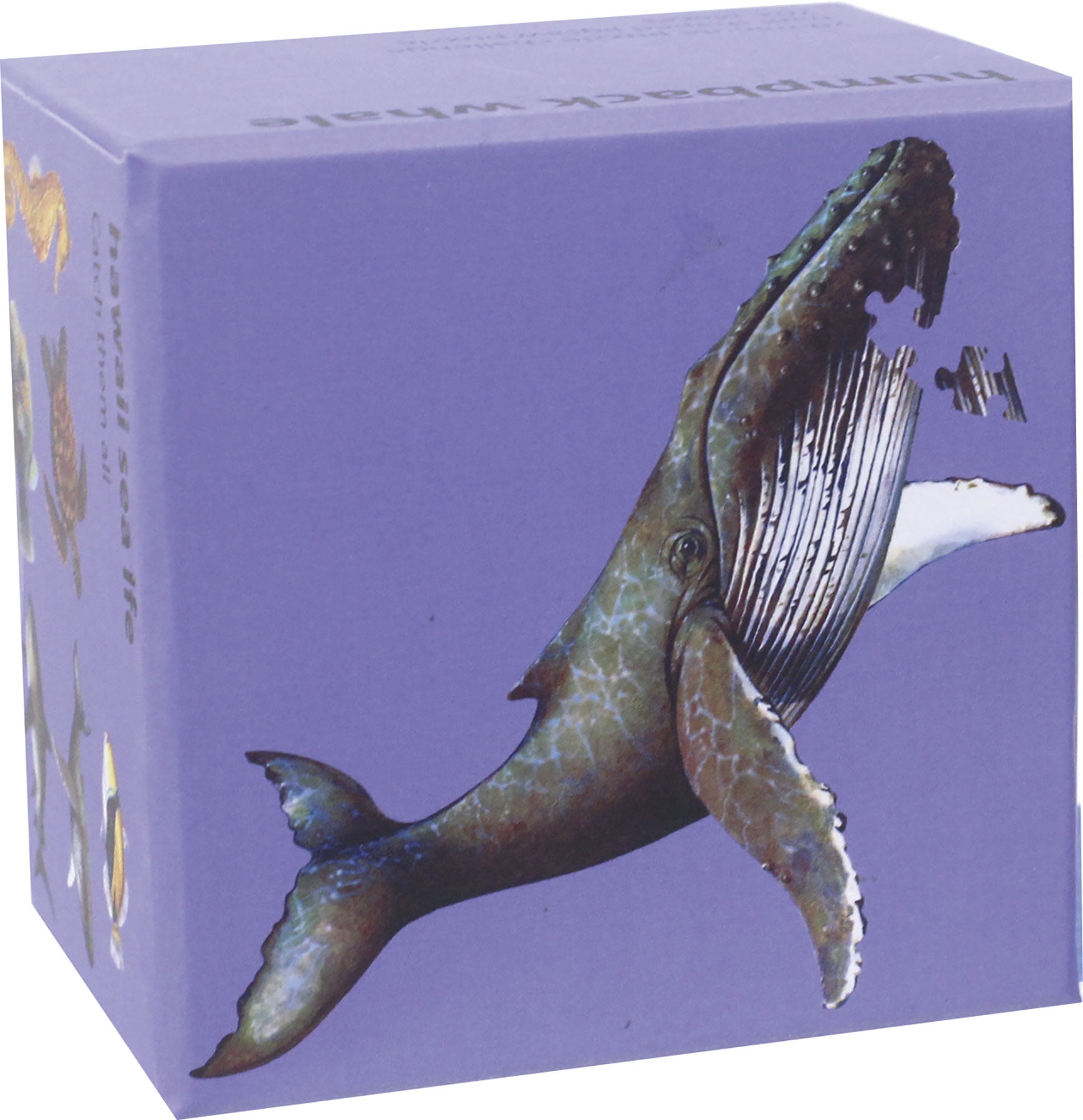 zWhaleBox-Web.jpg