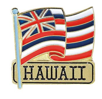 Pin Hawaii Flag