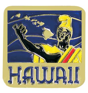 Pin Hawaii State