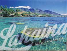 Badge Magnets Maui - Lahaina Reef Shallows - Pack of 5