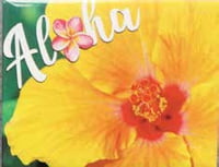 Badge Magnets Generic - Aloha Yellow Hibiscus - Pack of 5