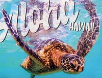 Badge Magnets Generic - Aloha Honu