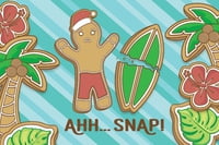 Ahh...Snap! 4x6 Holiday Cards