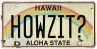 6"x12" Vintage License Plate - HOWZIT?