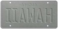 6"x12" Vintage License Plate - Twin Falls