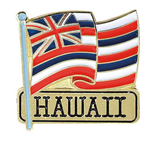 Vereinigte Staaten USA Hawaii,Flaggenpin,Pin,Flag 