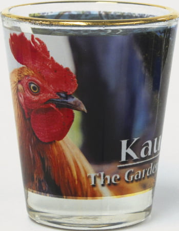 Kauai Collage Shot Glass