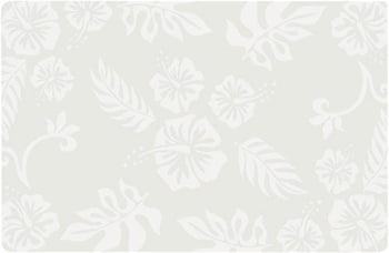 Placemats Placemats- Hibiscus (set of 6)