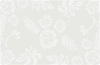 Placemats- Hibiscus (set of 6)